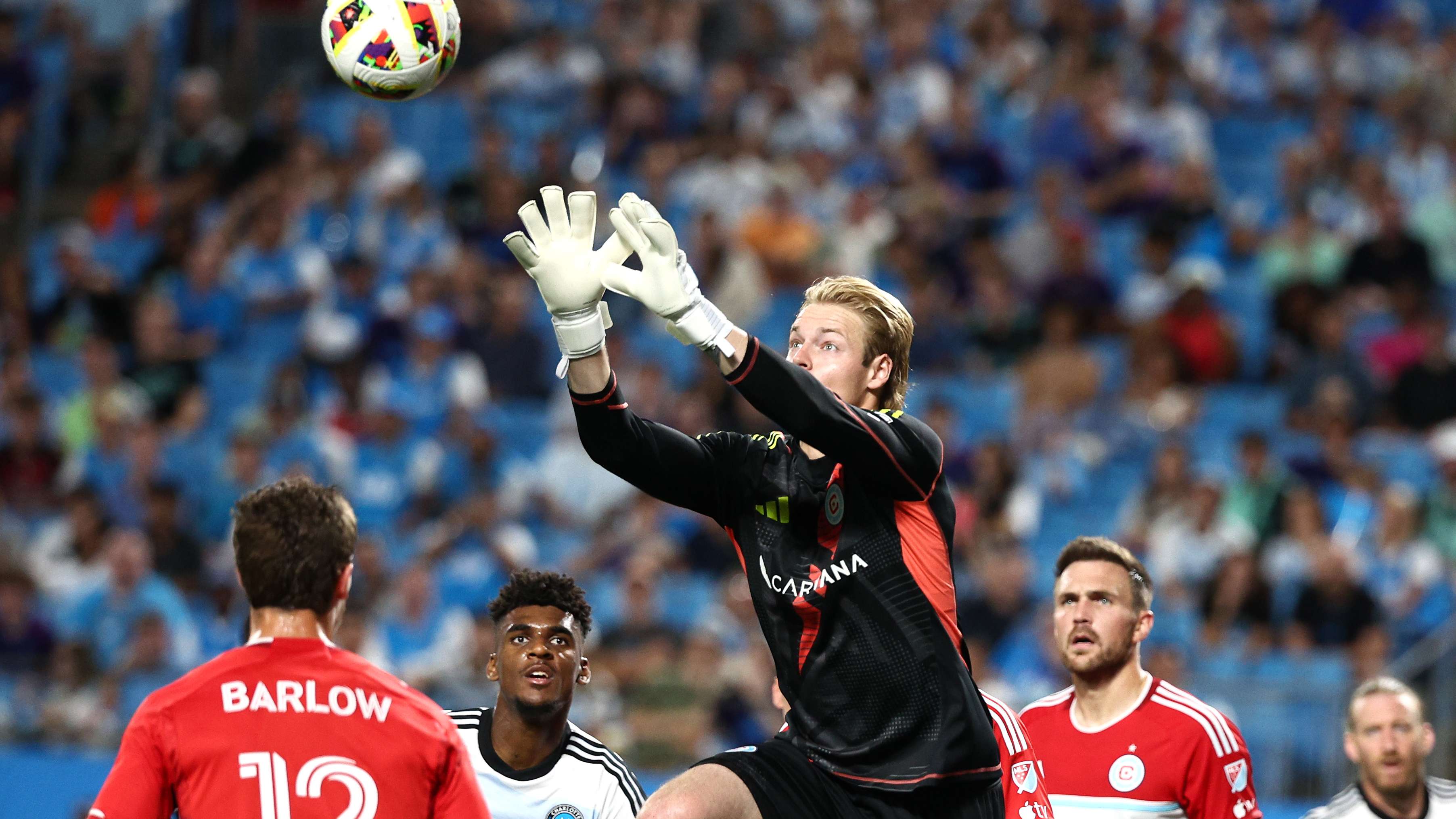 平的引援 平的引援